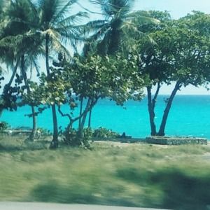 Meet your Posher, Randy